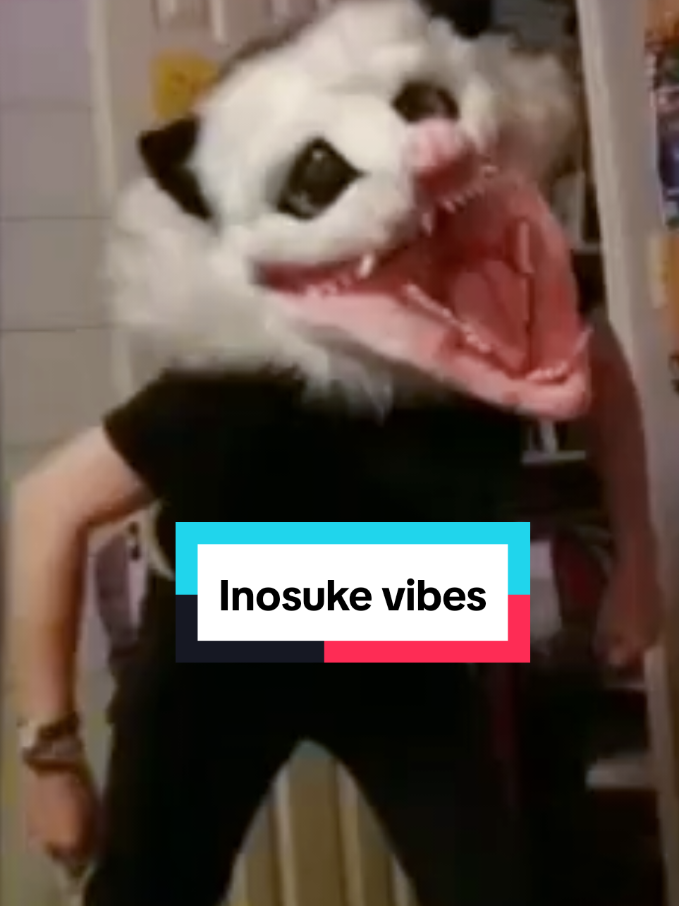 dating sucks ngl #fyp #furry #anime #possum #meme 