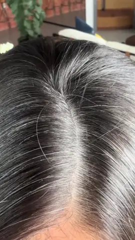 #ShampooTonalizante#ShampooEscurecedor#CabelosBrancos#CabelosGrisalhos#TonalizanteParaCabelos 🛒https://s.shopee.com.br/qbaC2kPTa