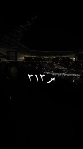 💚💛 #foryoupage #٣١٣ #313 #fyp #shia 