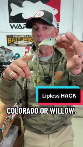 Lipless crankbait HACK! 