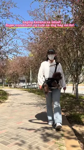 Laging kasama sa lakad! Super convenient ng cute na dog bag na ito! 🐾#dogcarrier #petcarrier 