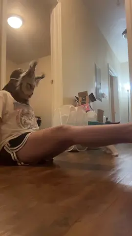 #therian #therianthropy #theriancommunity #theriangear #therianlife 