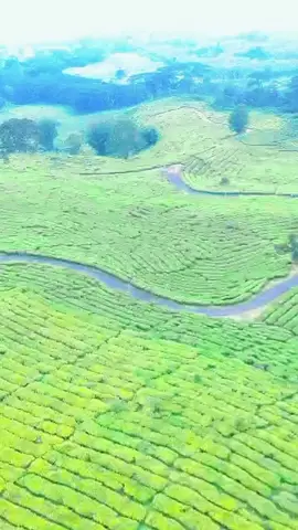 #romansabervespa  #fyppppppppppppppppppppppp  #bervespa  #adavespaadacerita #bervespakitabahagia 