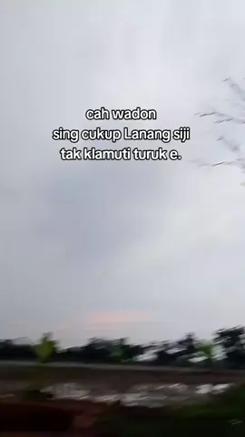 ana beli cah #indramayupride🏴‍☠️ #indramayuviral #tarling_indramayu_cirebon #indramayutarling💃💃💃 #promomakan1111 