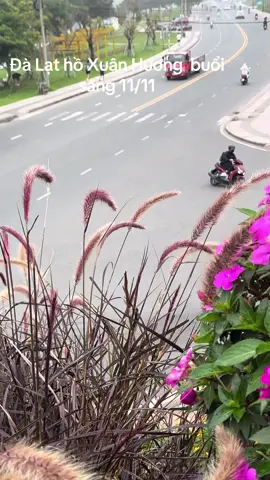 Đà Lạt hồ Xuân Hương Hồng Phương mến chúc cả nhà ngày mới năng lượng mọi việc thuận lợi vui vẻ thành công tốt đẹp#dalat #thinnhhanhtiktokh #xuhuongtiktok #hongphuonghoteldalat #dalat 