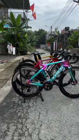 Mấy ẻm tắm nắng xíu rồi về . Trek Gen7 đủ cấu hình a chị lựa chọn vui lòng LH ( Za-lo) : 0982;:///742///919