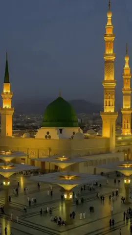 #CapCut #neelmalak #neelimalik #fypviralシ゚viral #pleaseunfrezzemyaccount 