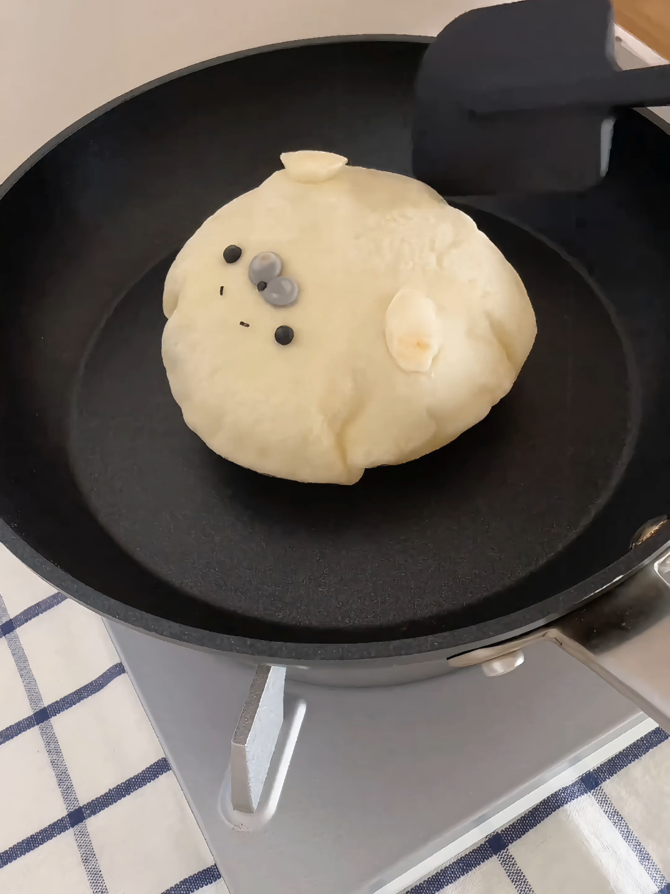 let's make a seal sandwich 😋#funny #pet #pinniped #seal #sealion 