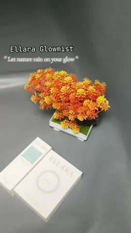 skincare buat mandi cuma ada di shower @ellara.id  #showerellara  #showerfilter  #ellarashowerfilterset  #ellara 