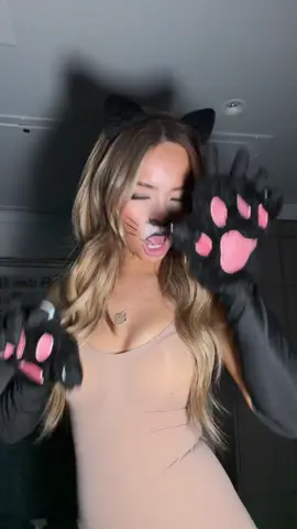 Like a animal #fyp #foryou #cruise #siamesecats #costume 