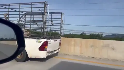 มิตรภาพระหว่างทาง🙏🏼🫶🤍 @บัง'ฮอท ตู้ทึบหัวหิน💙💨 ขอบคุณคริปสวยๆครับพี่🙏🏼