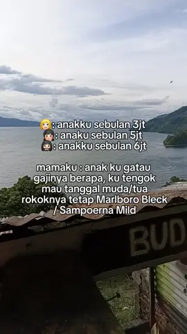 🤣😂#berandatiktok #storywa #fypage 