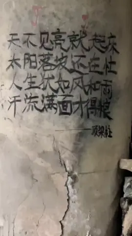 #命理 #休息 #魔鬼中的天使 #伤感音乐 #回る空うさぎ 