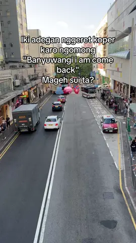 #banyuwangihits #bwi24jam #anakrantau #fypシ゚ #viraltiktok 