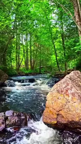 anh cũng biết đau remix