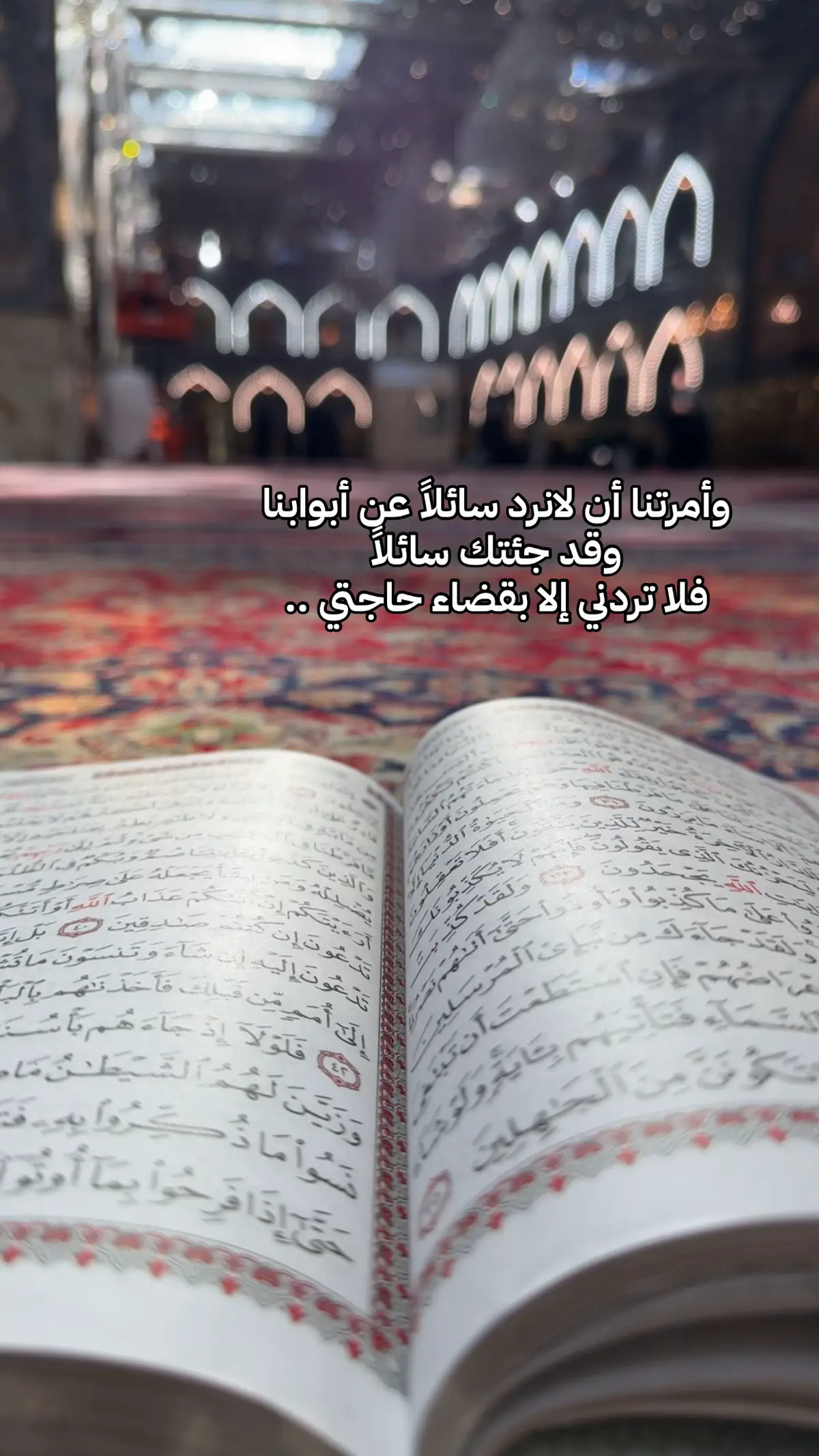 #313 #اللهم_صل_على_محمد_وآل_محمد 