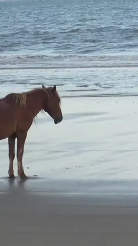 Past Won’t Leave My Bed out now