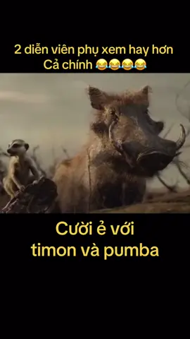 #vuive #vuive #TikTok ###