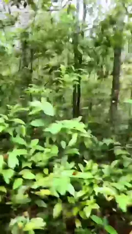 Venezuelano com sotaque amazonense 🤣  #motouber #manaus #desaparecida 