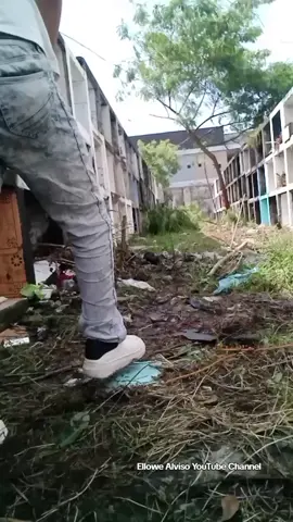 #fyp #foryou #ellowealviso #share #viral 