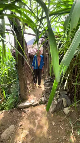 Hơn nửa đời người 🥺🥺😢#pan #hagiang #fypシ #foryou 