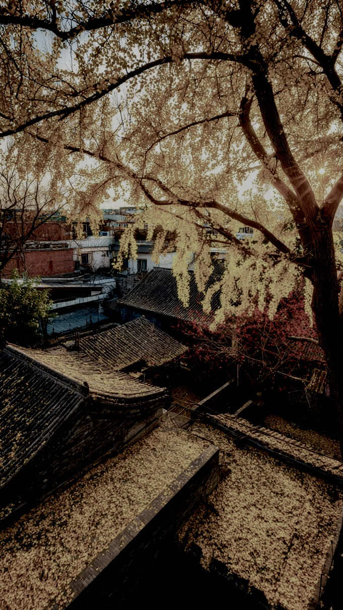 Giờ mới thấy thắm câu#sbtentertainment #nhachaymoingay #nhacremix #xuhuong2025 