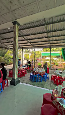 Đám giỗ miềnn tây chilll quá, emm ơiiii…😊📌🐓🌾#Sumgàđiều✅🐓🌾 #gàđáđồngtháp #gàbông #gàchiến #xuhuongtiktok 