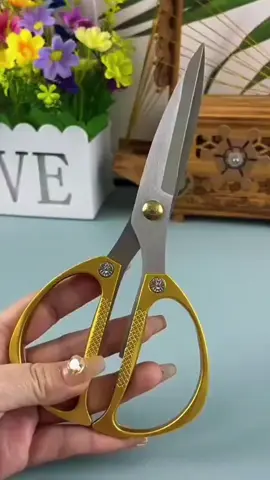 combo 3 kéo cắt#giadung981 #xuhuongtiktok #mebimsua #keo #keocat 