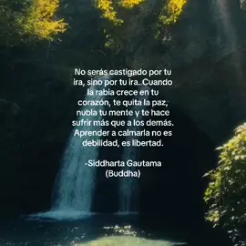 Parte 3|  Esta frase se refiere  que cuando uno se enoja, no necesita que nadie lo castigue, porque el enojo mismo ya te hace sufrir. Te roba la calma, te hace decir cosas que no querías y te deja con culpa o tristeza después. En realidad, la ira no lastima tanto a los demás como a ti mismo, es solo un mal rato, ¿de verdad vale la pena pelear con tus seres queridos por un momento de enojo? #frases #fyp #buddha #foryou #identificarse 