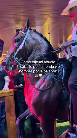 #caballos #caballosbailadores #paratiiiiiiiiiiiiiiiiiiiiiiiiiiiiiii #ecuador #agropecuario #colombia #mexico🇲🇽 #cabalgata 