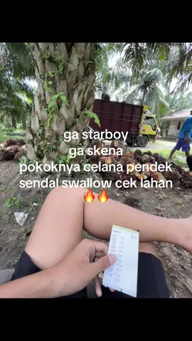 😍#bosmuda #tokesawit #trending #kebunsawit🌴 #ceklahansawit 