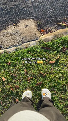 Miss ko na yung mga pinsan ko dyan, sana naman miss nyoko diba🥺#fypシ゚ #copylink #bicol #bicolana #uwinguwina 