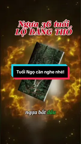 Tuổi Ngọ nên nghe nhé#MÍT thời trang#dophongthuy #hottiktok_xuhuong #tuvi #phatphapnhiemmau  @MÍT thời trang  @MÍT thời trang 