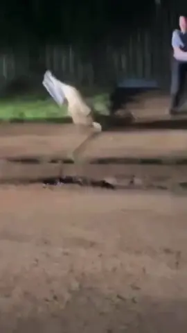 iseng nian laki aku tuhannn😭