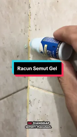 Racun Semut Gel Mengatasi Semut dan Koloninya #racunsemut #racunsemutviral #racunsemutpalingampuh #semut #semutmerah 