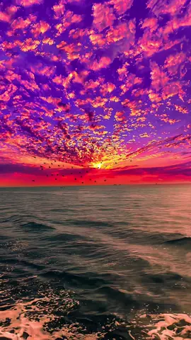 The sunset 🌄 and the geese flying together, I love it, and I love you even more ✨#sunset #fyp 