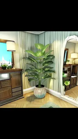 Indoor large plant #fyp #tiktokfinds #highlight 