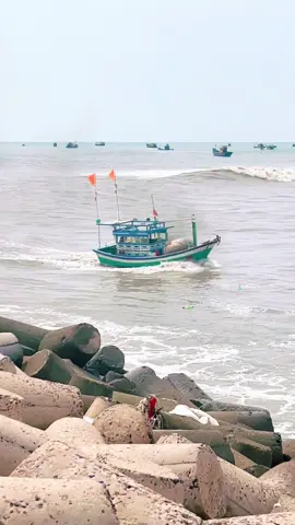 Dân biển lại khổ rồi ☹️##biển 