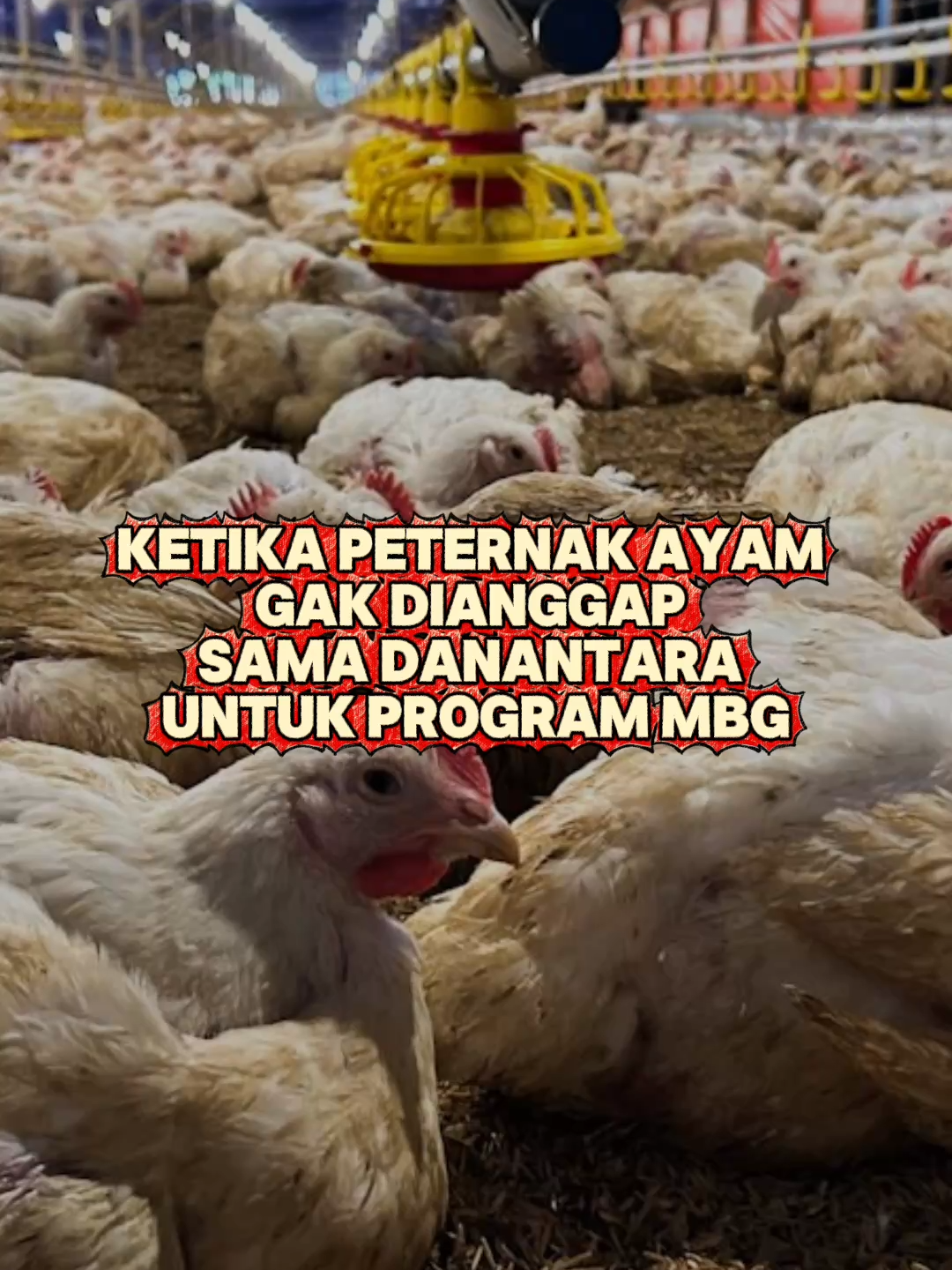 Danantara mau gelontorin Rp 20 Triliun buat proyek peternakan ayam untuk MBG. Tapi, kenapa ya peternak ayam lama malah gak dianggap? Padahal mereka yang sudah pengalaman! Jangan sampai program sebesar ini cuma menguntungkan pihak baru doang. #Danantara #PeternakAyam #ProgramMBG #Investasi20T #PeternakLokal #KesejahteraanPetani #BantuanModal #kritis  #PolitikPangan #fraksipdiperjuangan  #viraltiktok  #fyppppppppppppppppppppppp