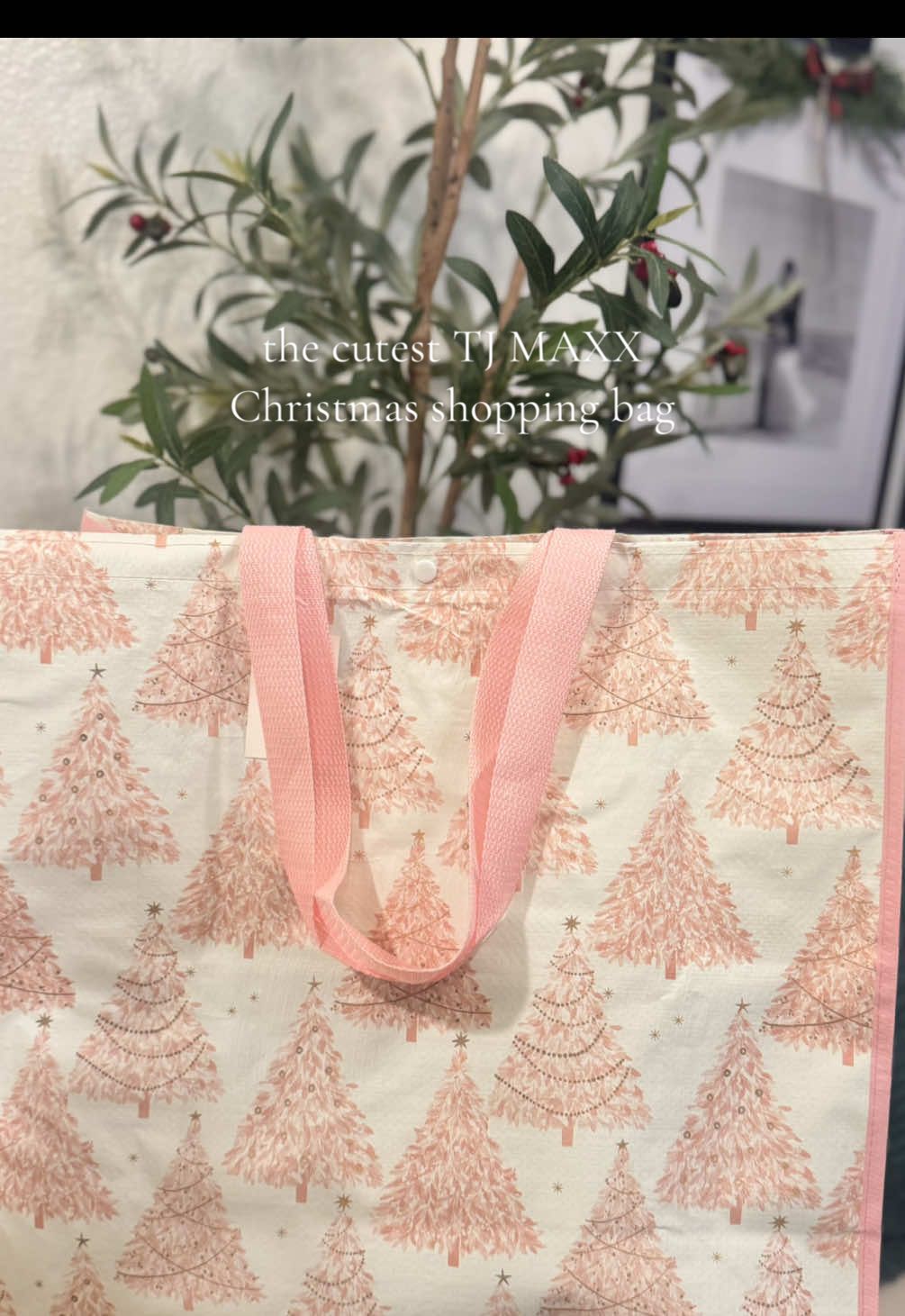 @TJ Maxx Christmas finds are starting to roll in and even the shopping bags are adorable 🥹🛍️✨ #tjmaxx #tjmaxxchristmas #tjmaxxfinds #christmasshopping #Vlogmas 