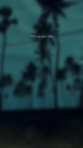 Happy single day 🤝 #foryou #trending #viralvideo #11_11  #singles_day 