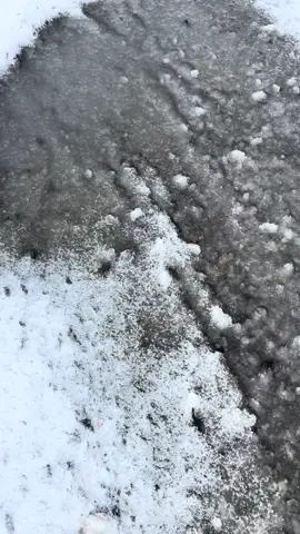 hokkaido ge dolan uduk kerjo🤣 #fyp #pertanianjepang🇯🇵🇲🇨 #kenshuseijapan🇮🇩🇯🇵🎌 