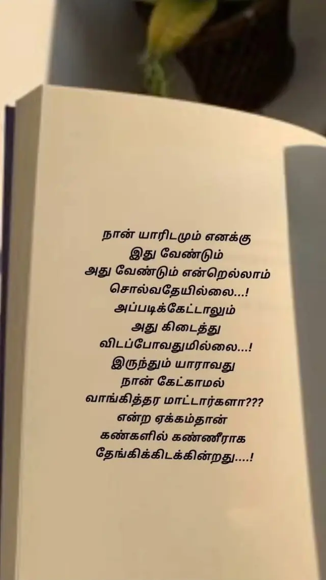 #pypシ #fyppppppppppppppppppppppp #🎶🎵🎼 #goodmorning #சிறகுடைந்தவள் #🖤 #🦋 