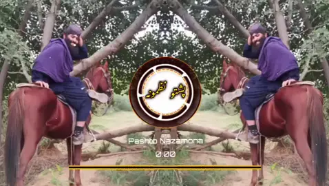 Pashto Nazamona 🥀🥀🥀 #pashto_nazmona #unfrezzmyaccount #viralvideo #standwithukraine #burhantv 