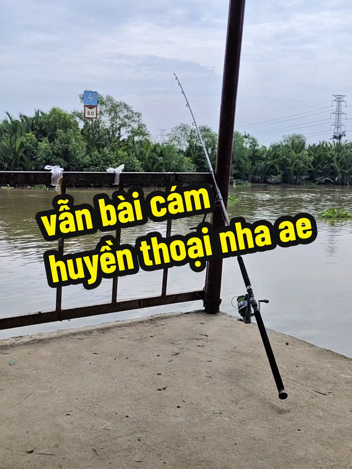 #xuhướng #xuhuong  #cauca #caucagiaitri #caucatunhien  Cá tra hugo, Vẫn bài cám huyền thoại nha ae, đỉnh cao là đây chứ đâu?