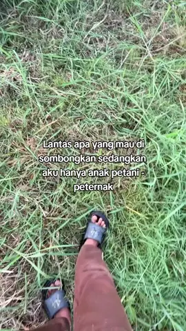 iso mangan wareg e wes Alhamdulillah☺️#peternakmuda #petanimuda #sobatngaret #lewatberanda #fyppppppppppppppppppppppp