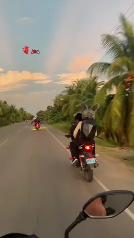 #tarapoto_perú🇵🇪💚🌴 #bellavista_san_martin🌴 #fypシ゚ #selvaticasde❤💚🌴🔥 