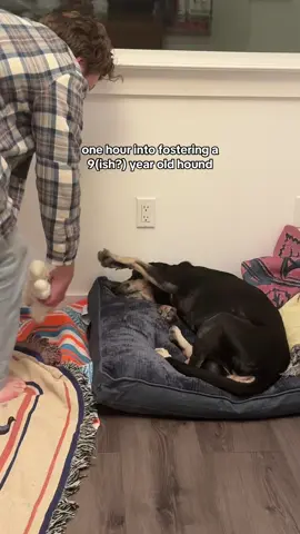 Austin texas!!!! If you want the sweetest senior boy in the whole world we have one for you 🥺🫶🏼