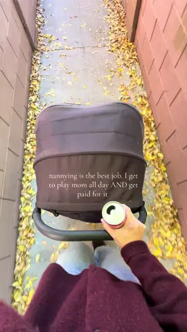 and now I just have 3 mini besties. It’s my favorite. #fyp #job #nanny #aesthetic #alani 