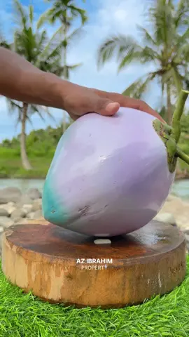 Mostly Coconut Mirrors-So Smooth-Satisfying #coconut #fruits #asmr #viral